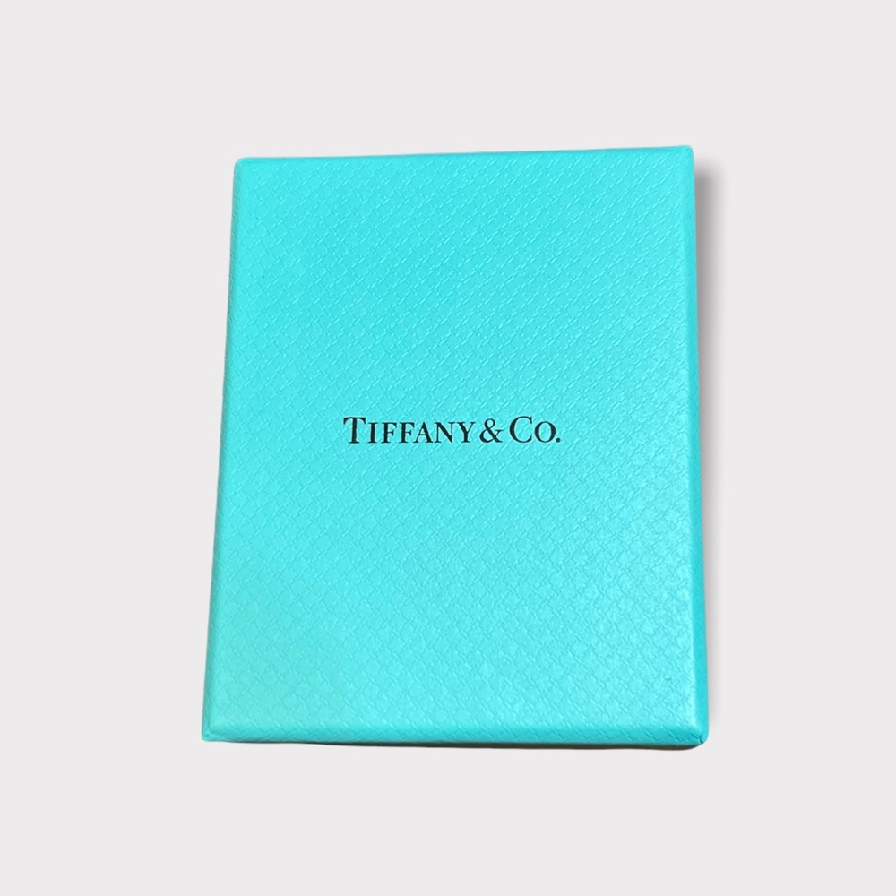 Tiffany & Co. little blue box with jewelry box for necklaces